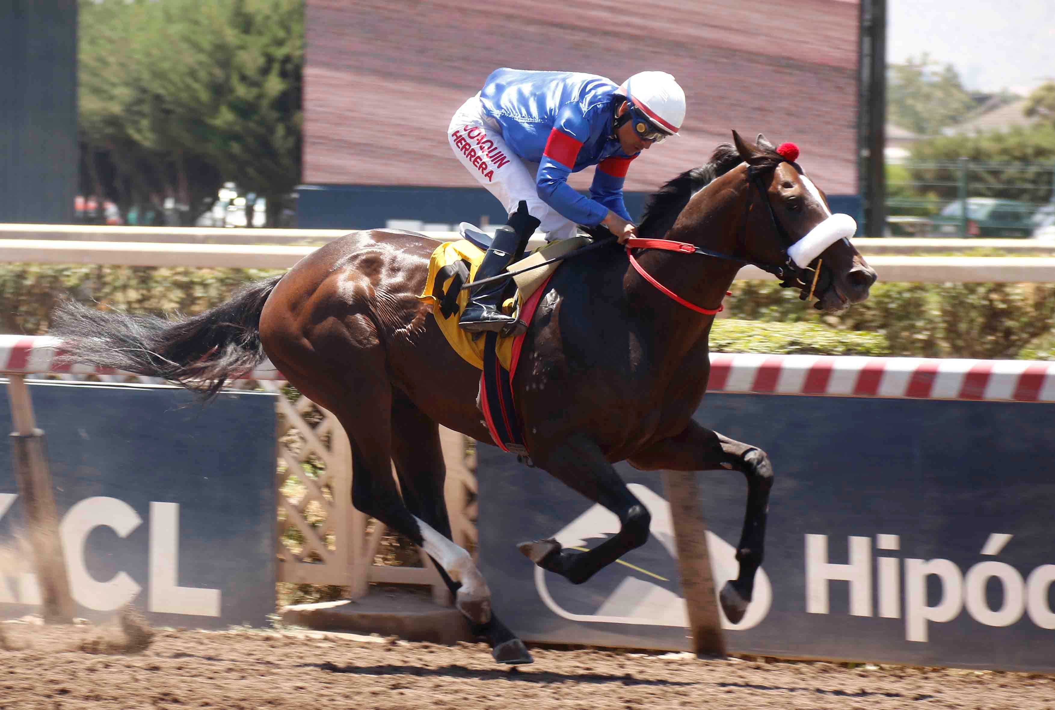  - Comunicaciones Matriarca