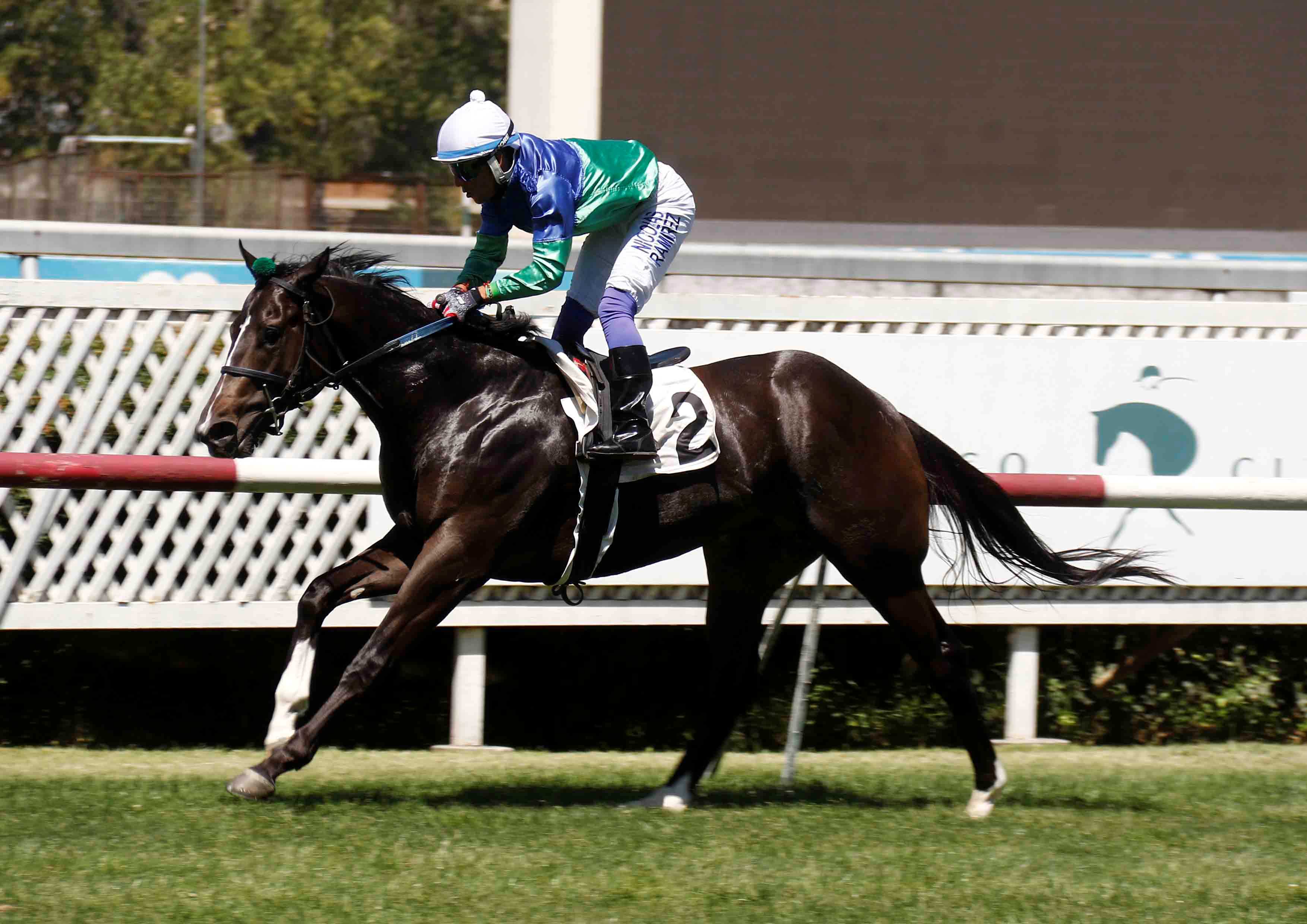  - Comunicaciones Matriarca